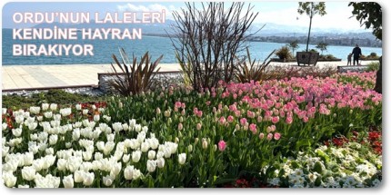 Ordu’da Rengarenk Görsel Şölen